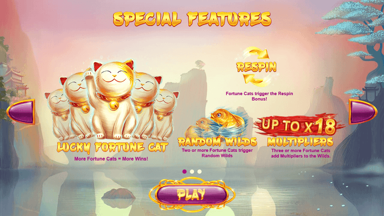 Lucky Fortune Cat image