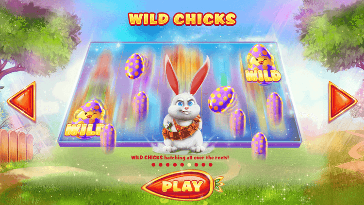 Wild Chicks image