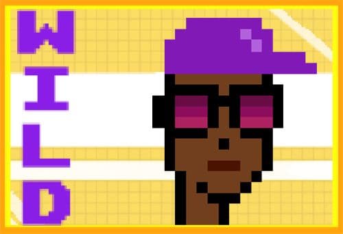 Crypto Punks image