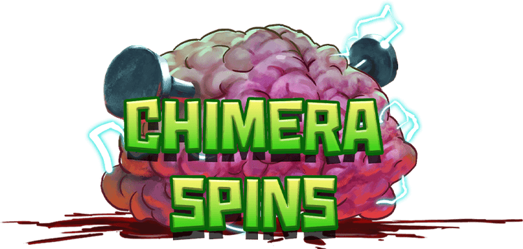 Chimera Spins image