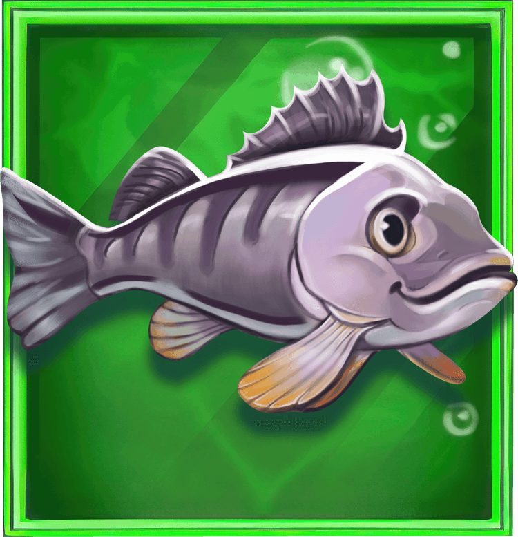 Fish Scatters image