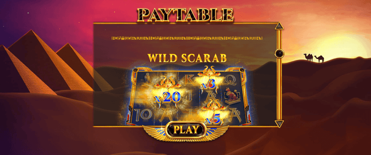 Wild Scarab image